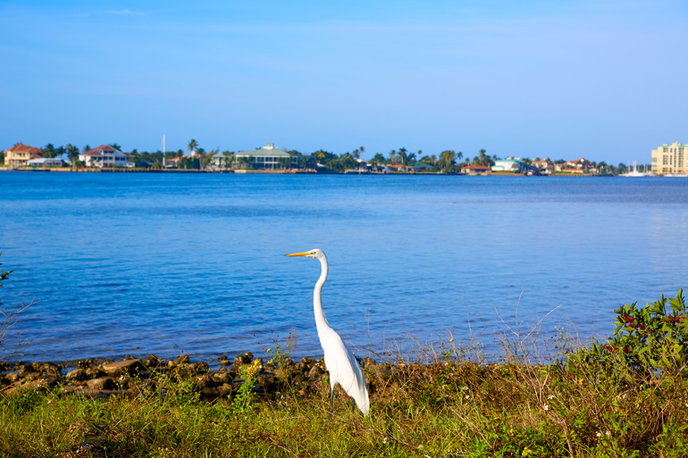 Get to Know Marco Island